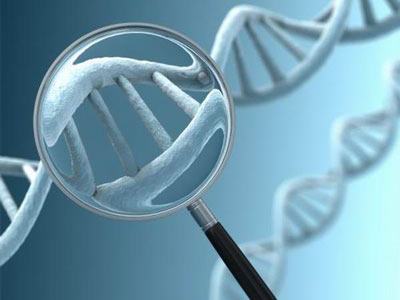 「DNA鑑定」的圖片搜尋結果
